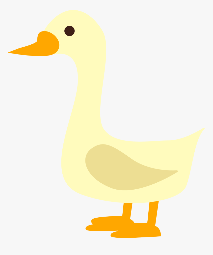 Fazenda - Duck, HD Png Download