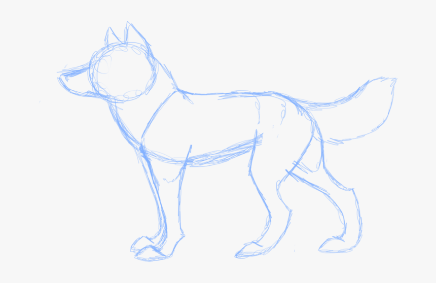 My Wolf Anatomy 3 By Twiztedrhapsody-d3dv96g Anatomy - Line Art, HD Png Download