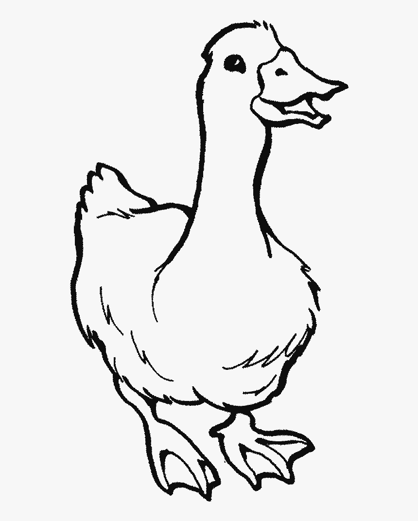 On The Farm - Dibujo A Color De Patos, HD Png Download