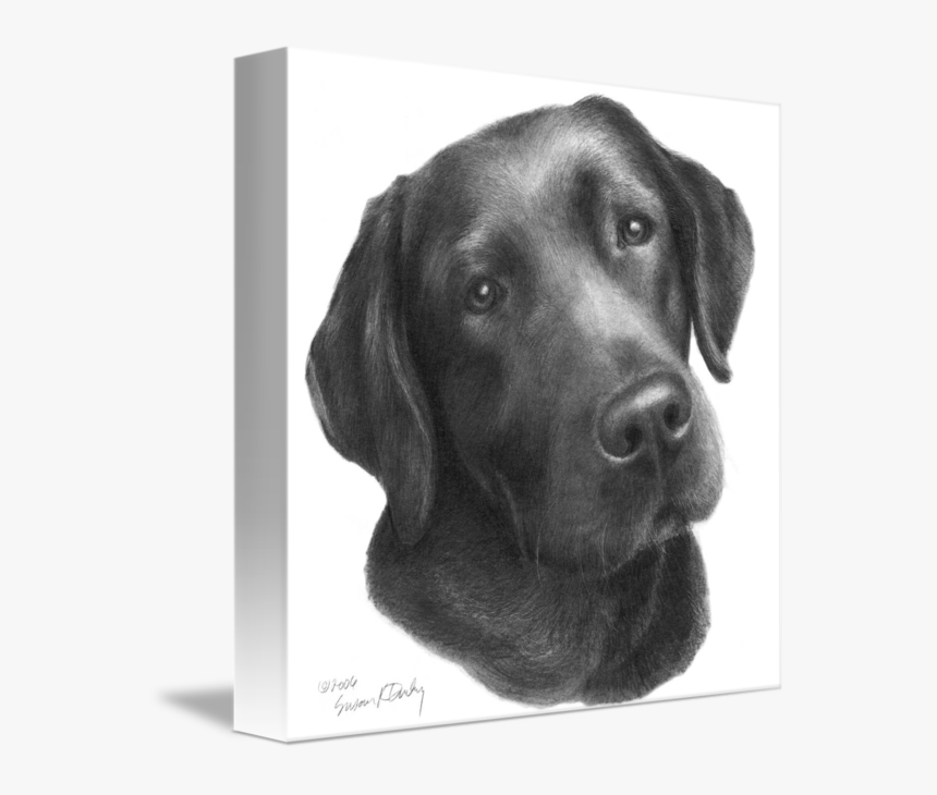 Clip Art Black And White Labrador - Dibujos A Lapiz De Perros Labradores, HD Png Download