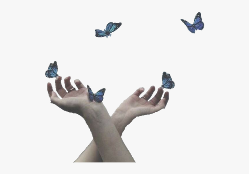 Image - Butterfly In Hands Dps, HD Png Download