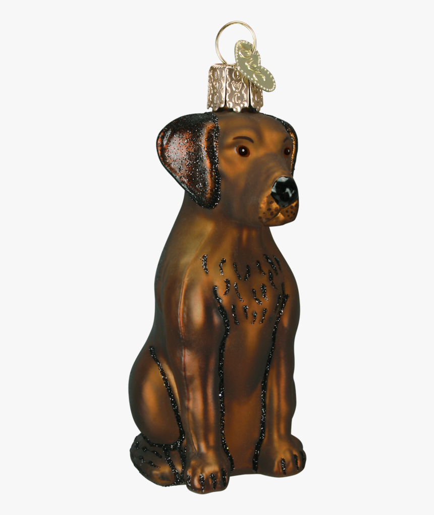 Labrador Retriever, HD Png Download