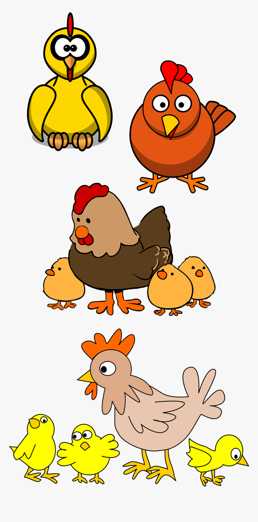 Cattle Baby Jungle Animals - Chickens Clipart, HD Png Download