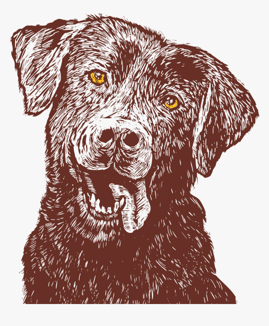 Avery Brewing Ellie's Brown Ale, HD Png Download
