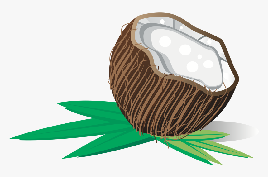 Big Image Png - Coconut Clipart, Transparent Png