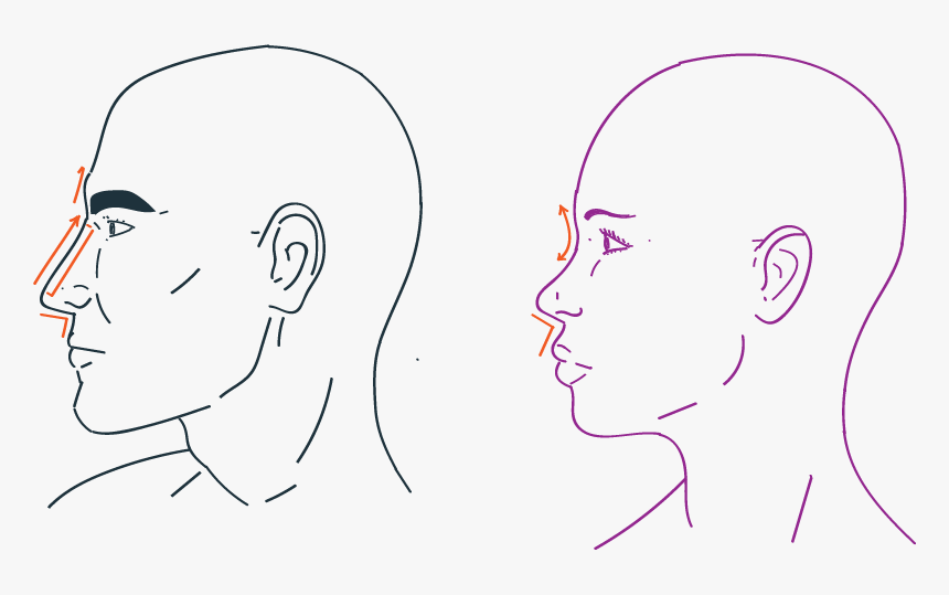 Nose Rhiniplastia In Facial Feminization Surgery - Sketch, HD Png Download