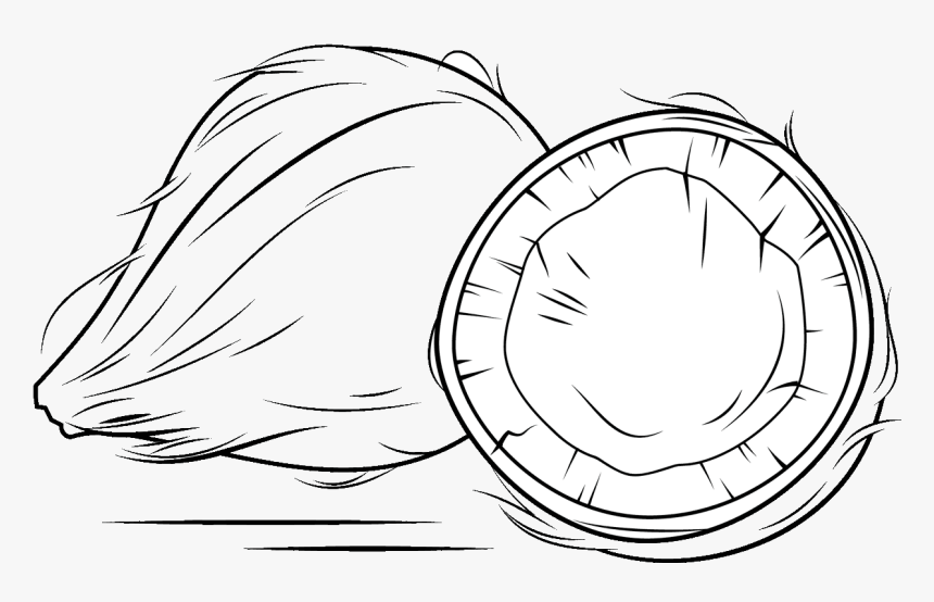 Clip Art Picture Royalty Free - Coconut Black And White, HD Png Download
