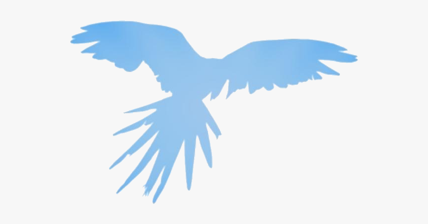 Transparent Flying Parrot Drawing, Flying Parrot Png - Transparent African Birds Png, Png Download