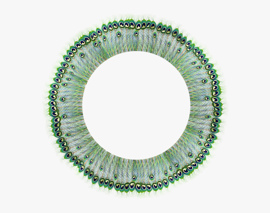 Transparent Peacock Border Clipart - Washington County Service Authority Logo, HD Png Download
