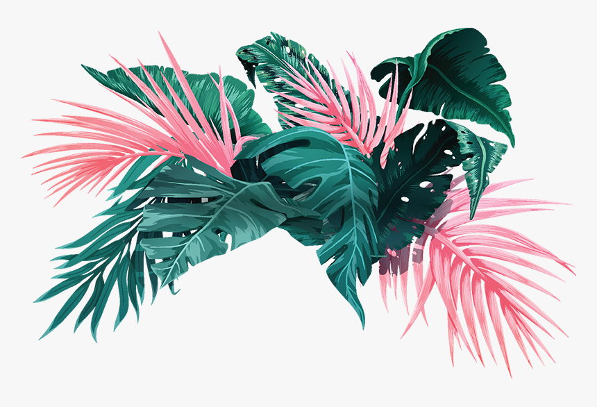 Vector Graphics, HD Png Download