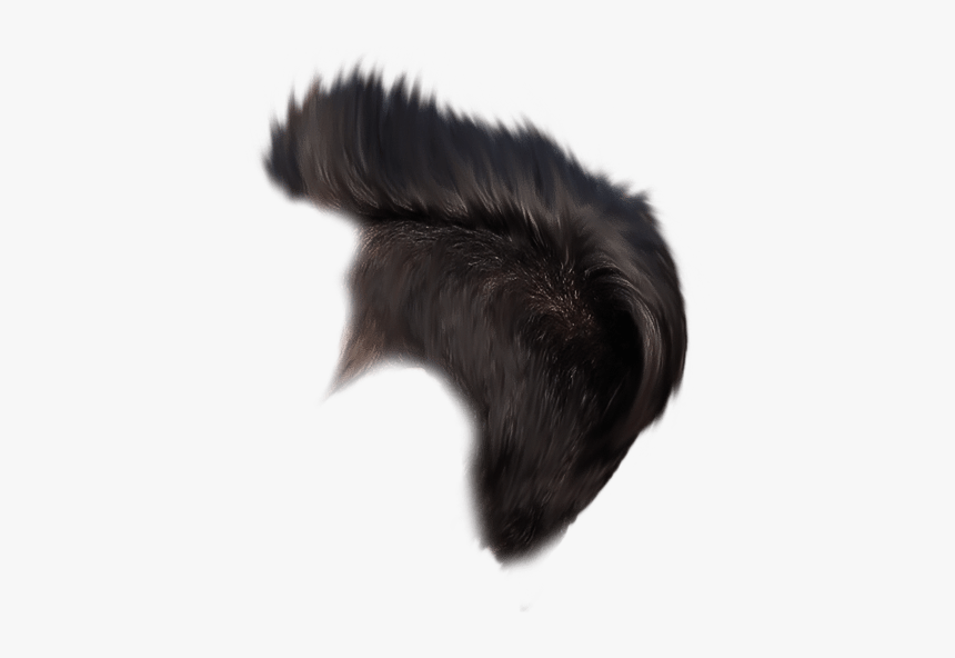 Beige, HD Png Download