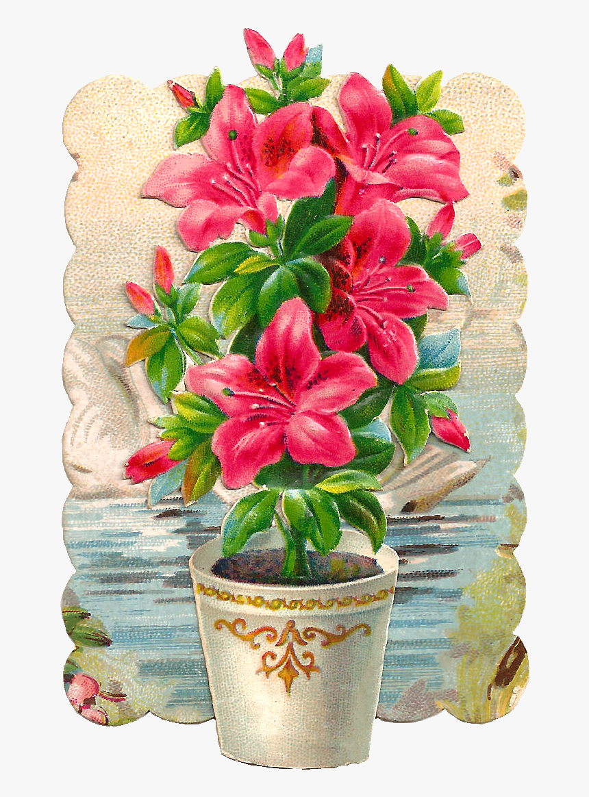 Clip Art Hibiscus Plant, HD Png Download