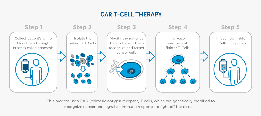 Car T Cell Therapy Steps, HD Png Download