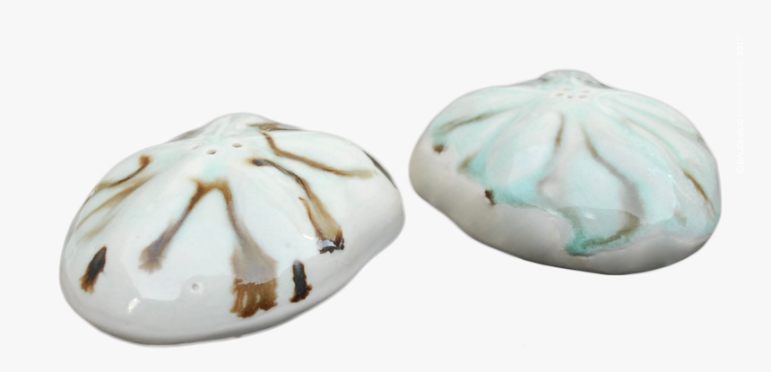 Sea Biscuit Salt Pepper Shakers - Ceramic, HD Png Download