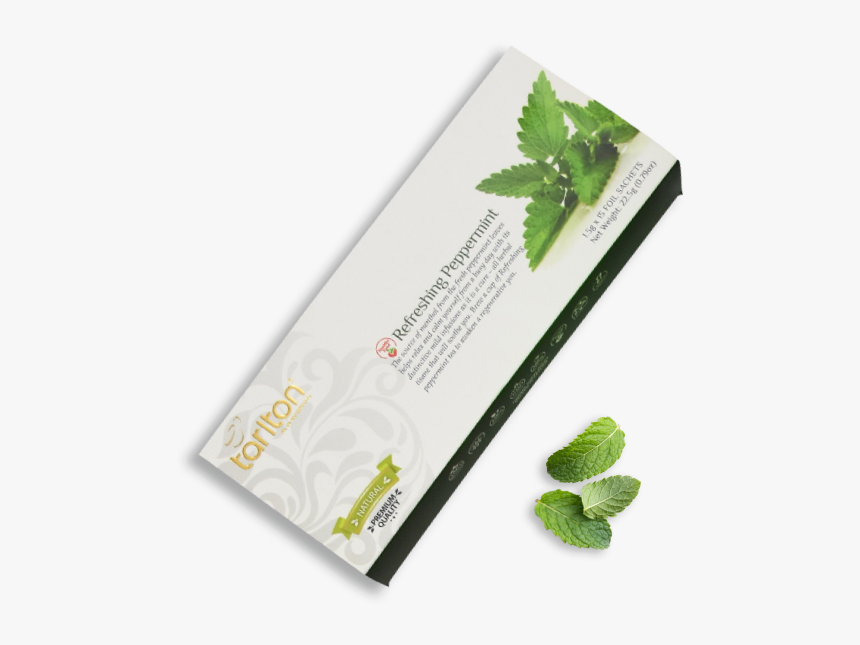 Dummy - Herbal, HD Png Download