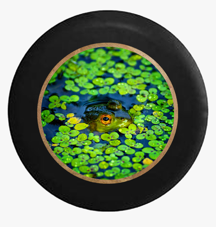 Transparent Lily Pads Png - Лягушка В Болоте, Png Download