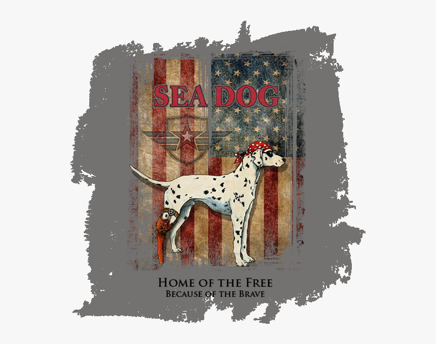 Not Drinking On St Patrick S Day, Hd Png Download - Sea Dog, Transparent Png