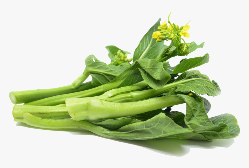 Transparent Bok Choy Png - ผัก กวางตุ้ง Png, Png Download