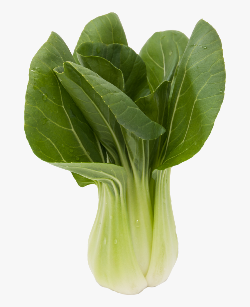 Baby Bok Choy Chinese Vegetable - Chou De Chine, HD Png Download