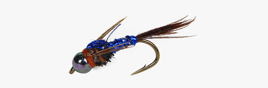 Swallow, HD Png Download