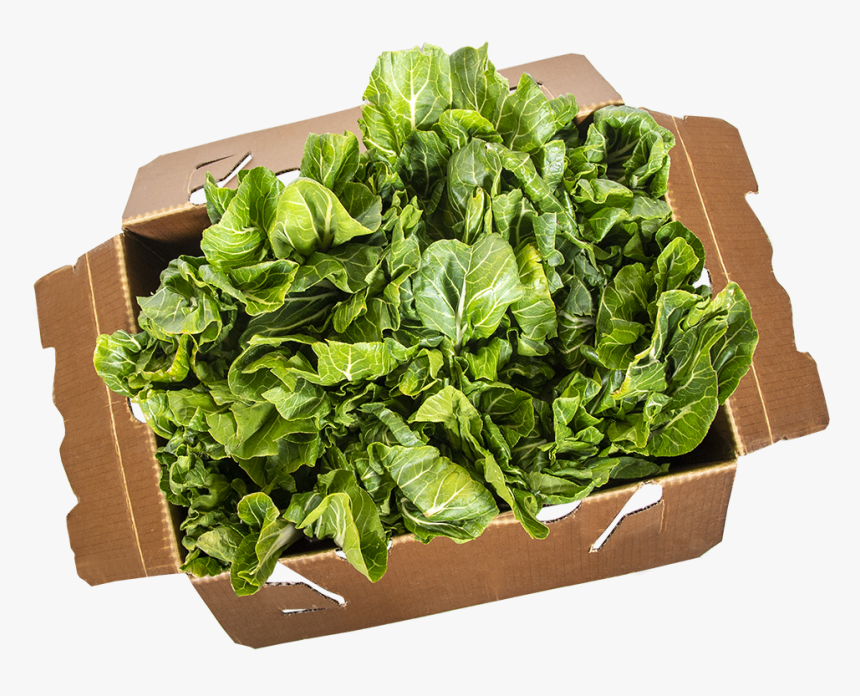 Flowerpot, HD Png Download