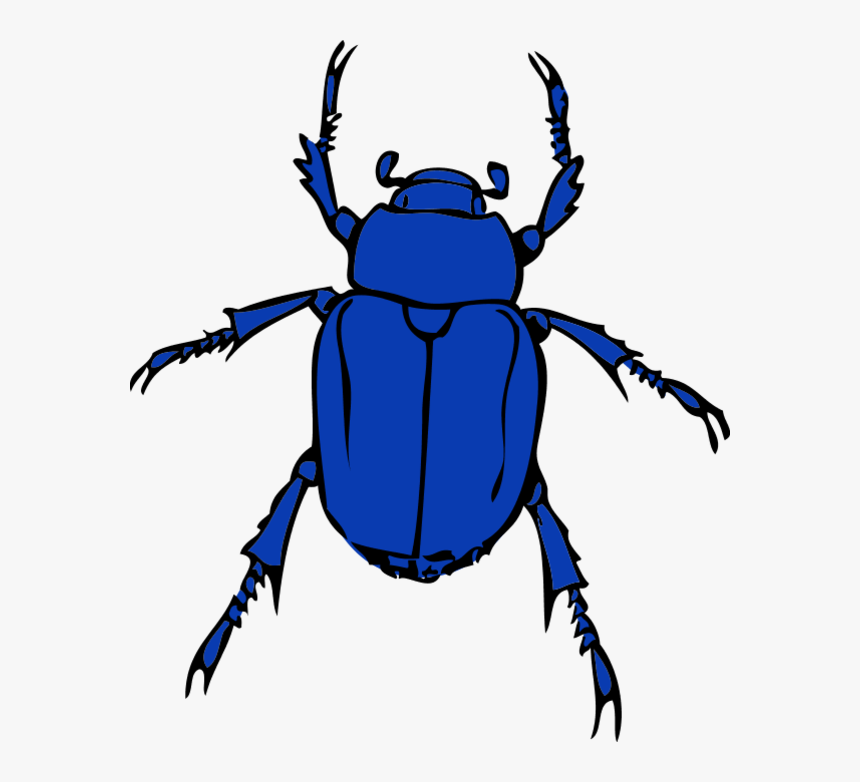 Blue Bug Clipart Clipartfest - Bug Clipart, HD Png Download