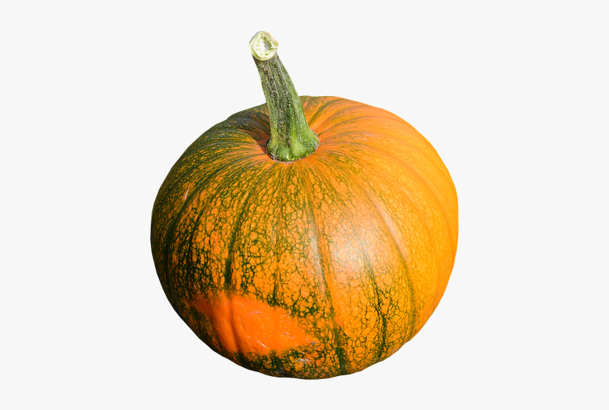 Cocumber, Vegetales, Frutas, Saludable, Los Alimentos - Pumpkin, HD Png Download