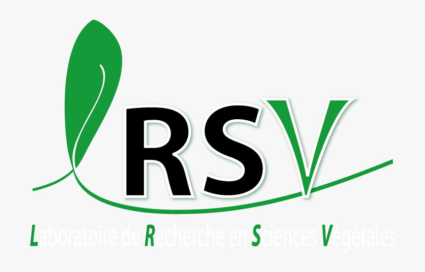 Lrsv, HD Png Download