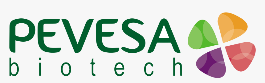 Calligraphy, HD Png Download