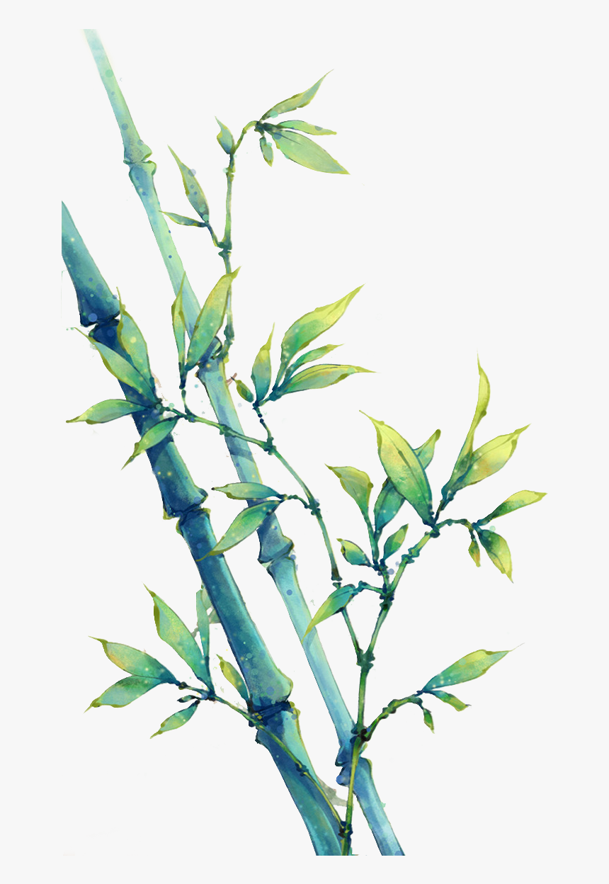 Transparent Bamboo Leaves Png - Bamboo Watercolour, Png Download