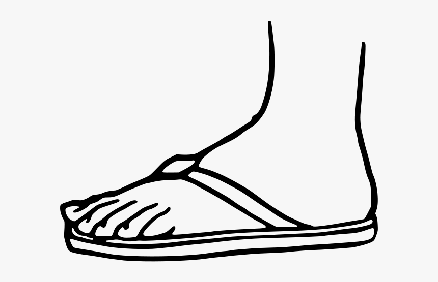 Sandal 3 - Feet With Flip Flops Vector, HD Png Download