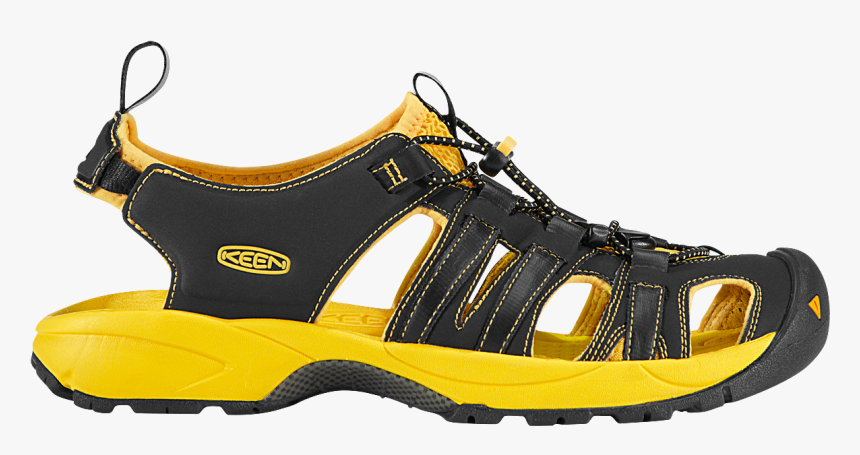 Portable Network Graphics, HD Png Download