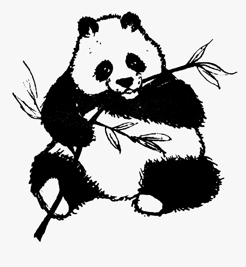 Found Panda Chewing On Leaves Clip Arts - Panda Black And White Clip Art, HD Png Download