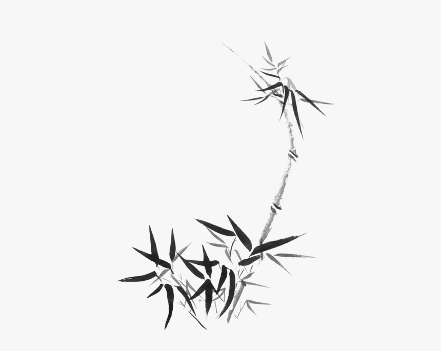 Bamboo Stalk With Young Leaves Sumi-e Japanese Zen, HD Png Download