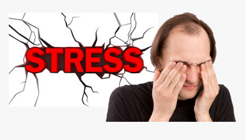 How Anxiety And Stress Can Cause Hair Loss - Mental Or Emotional Strain, HD Png Download