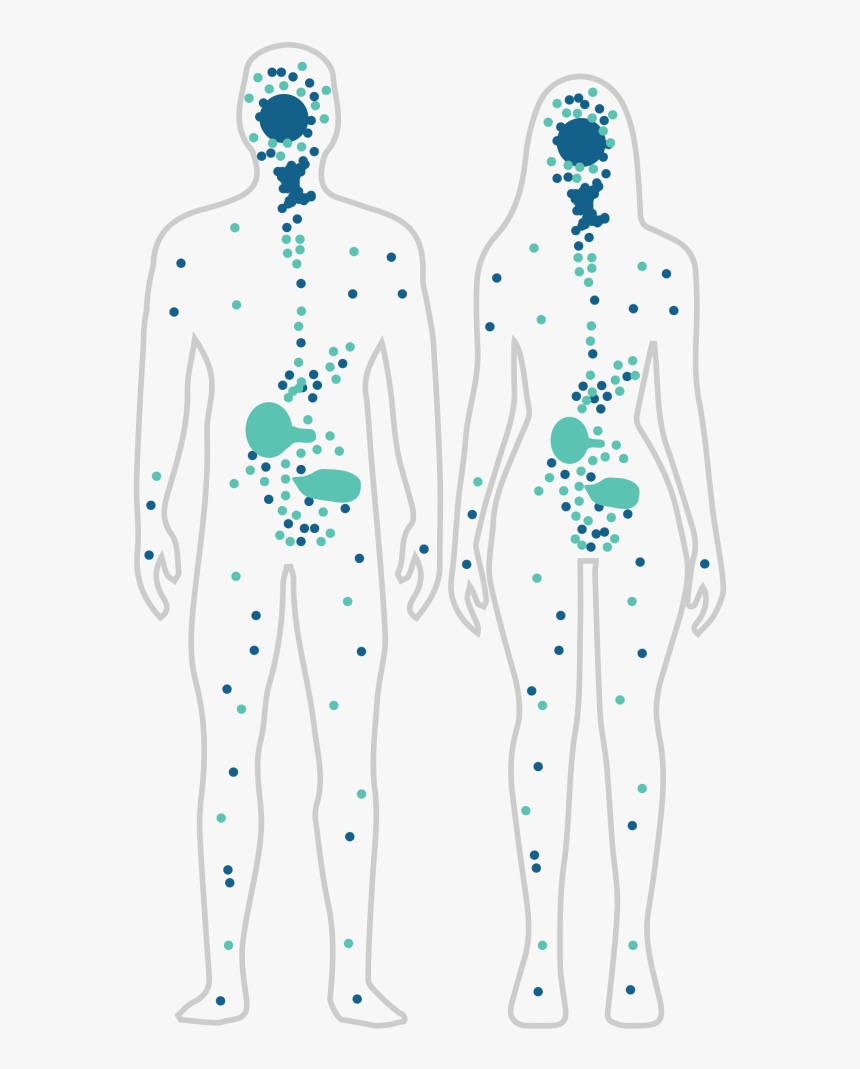 Illustration, HD Png Download