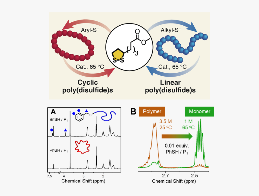 Diagram, HD Png Download