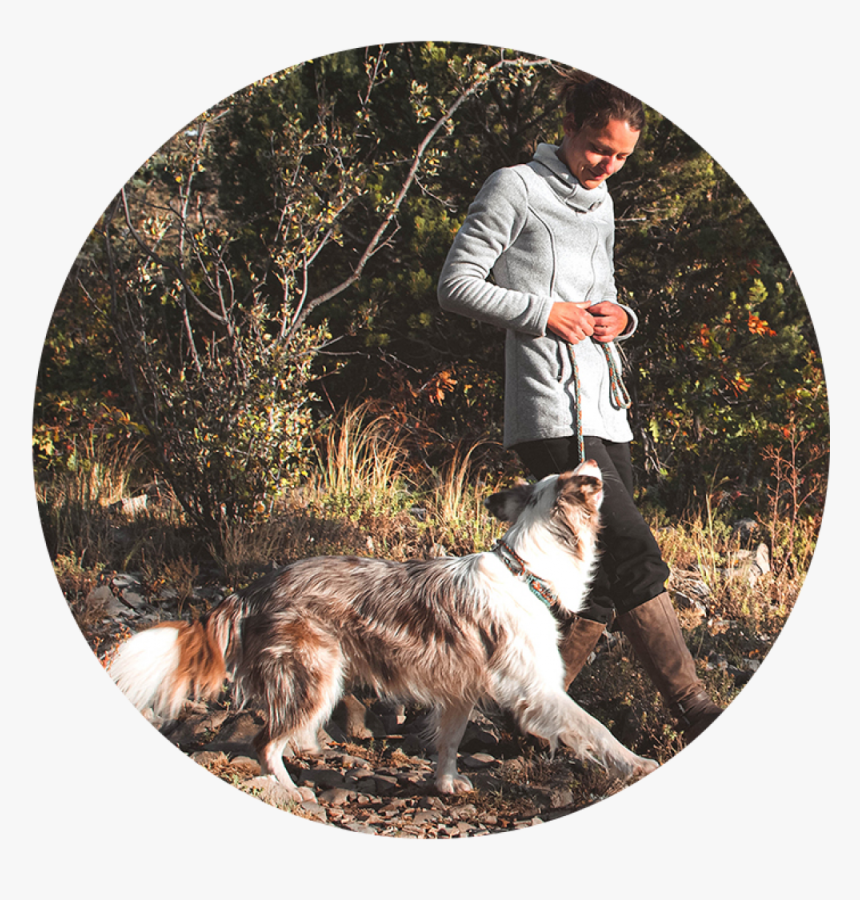 Companion Dog, HD Png Download