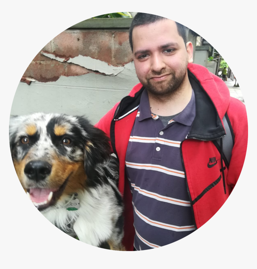 Companion Dog, HD Png Download