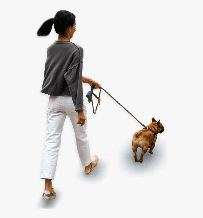 Technology For Pet Parents - Dog Walking, HD Png Download