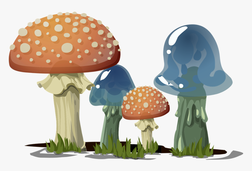 Mushroom,champignon Mushroom,bolete,penny Bun,fawn,art - Happy Birthday Mushrooms, HD Png Download