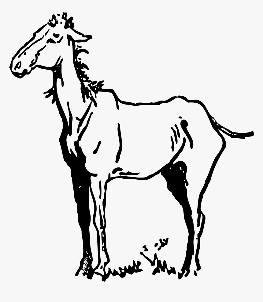 Old Horse Clip Arts - Old Horse Clip Art, HD Png Download