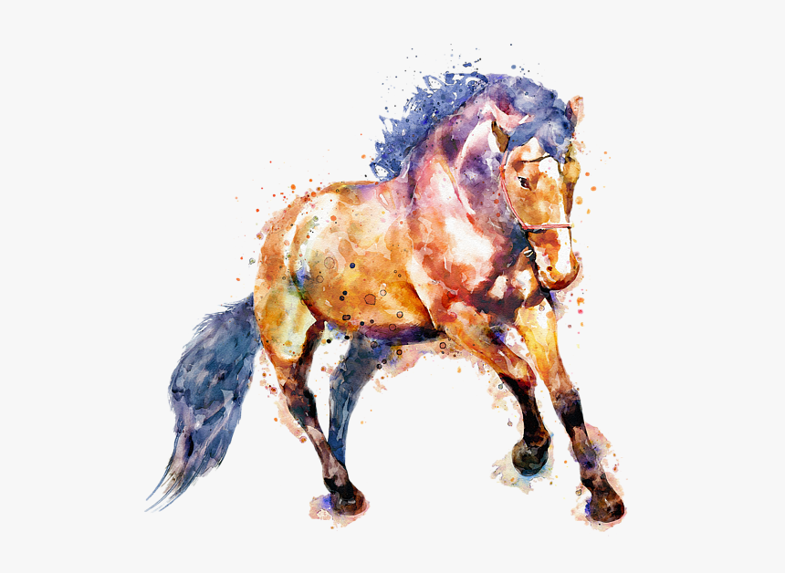 Beautiful Running Hirse Paintings, HD Png Download