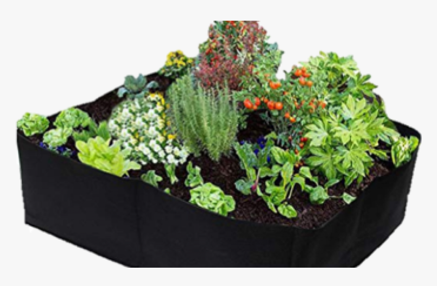 Flower Bed, HD Png Download