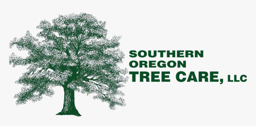 Black And White Oak Tree Clip Art, HD Png Download