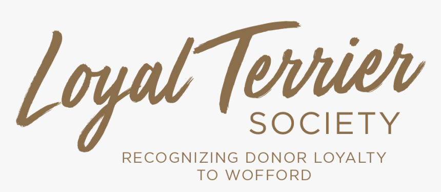 Transparent Joey Wheeler Png - Calligraphy, Png Download