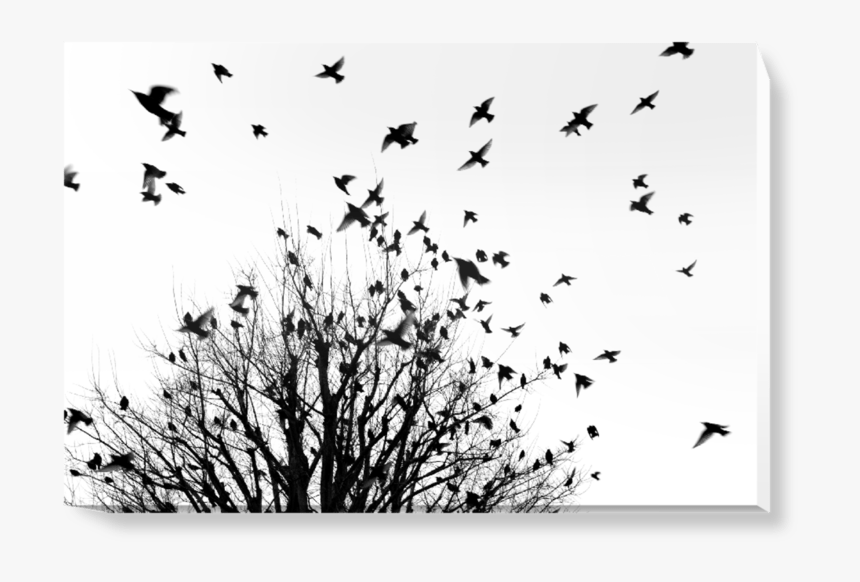 Wall Murals, HD Png Download