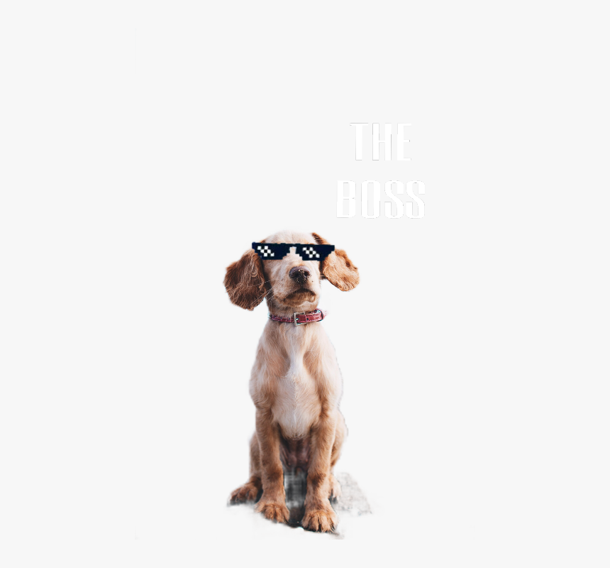 Ircdogday Dogday Thug - Dog Quote Love, HD Png Download