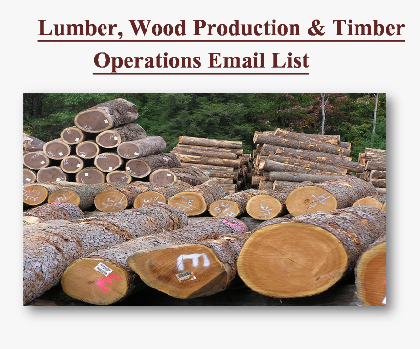 Skuttle, HD Png Download