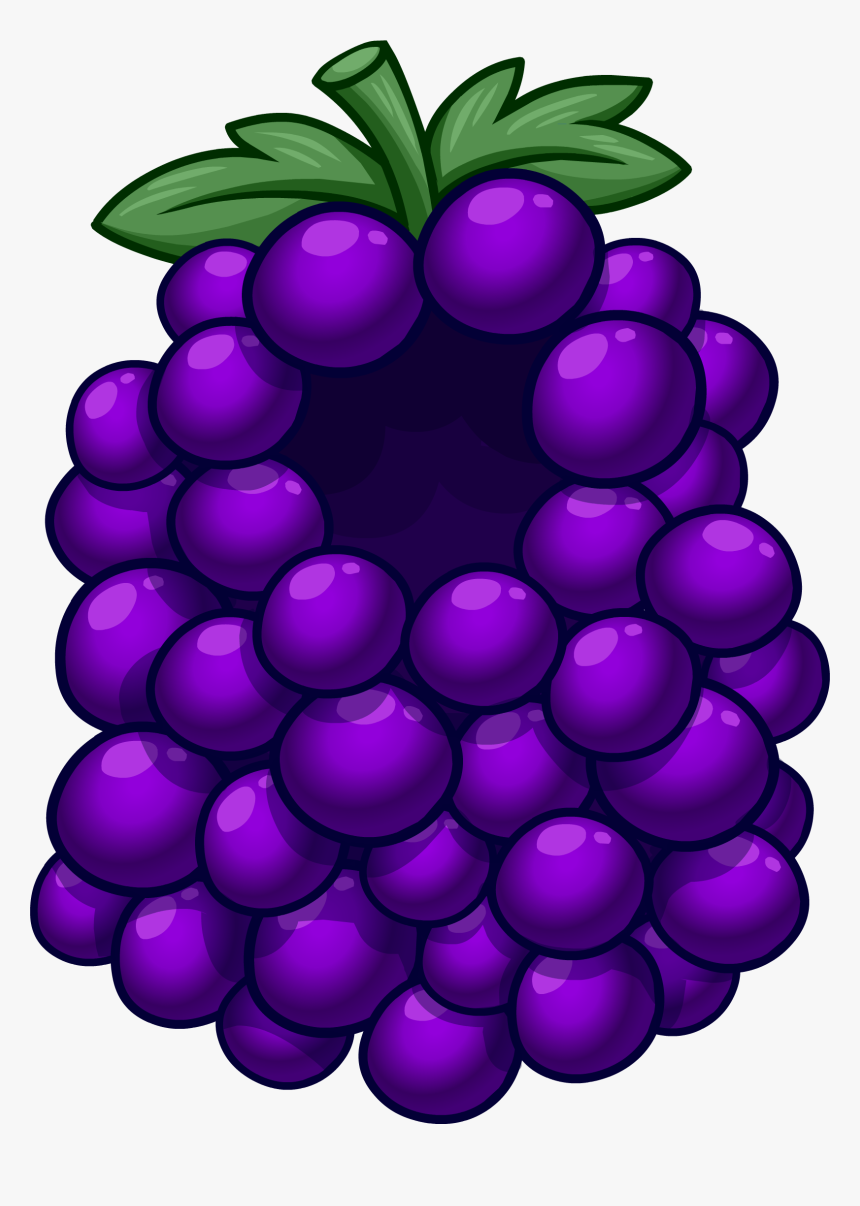 John Cena Clipart Grape - Club Penguin Grape Costume, HD Png Download